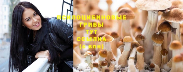 прущая мука Лиски