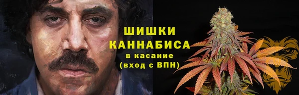 трава Лабытнанги