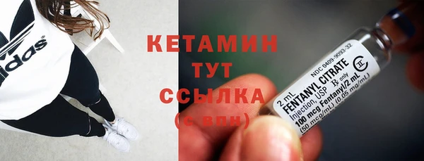 трава Лабытнанги