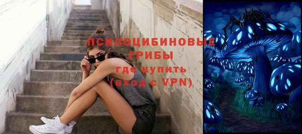 СК Липки