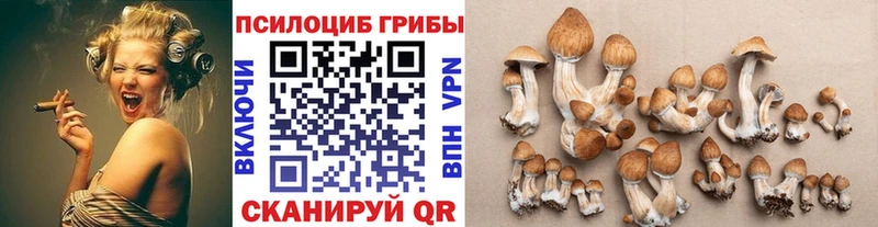 kraken ONION  даркнет клад  Псилоцибиновые грибы мухоморы  Бирюч 